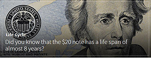 Currency Lifecycle